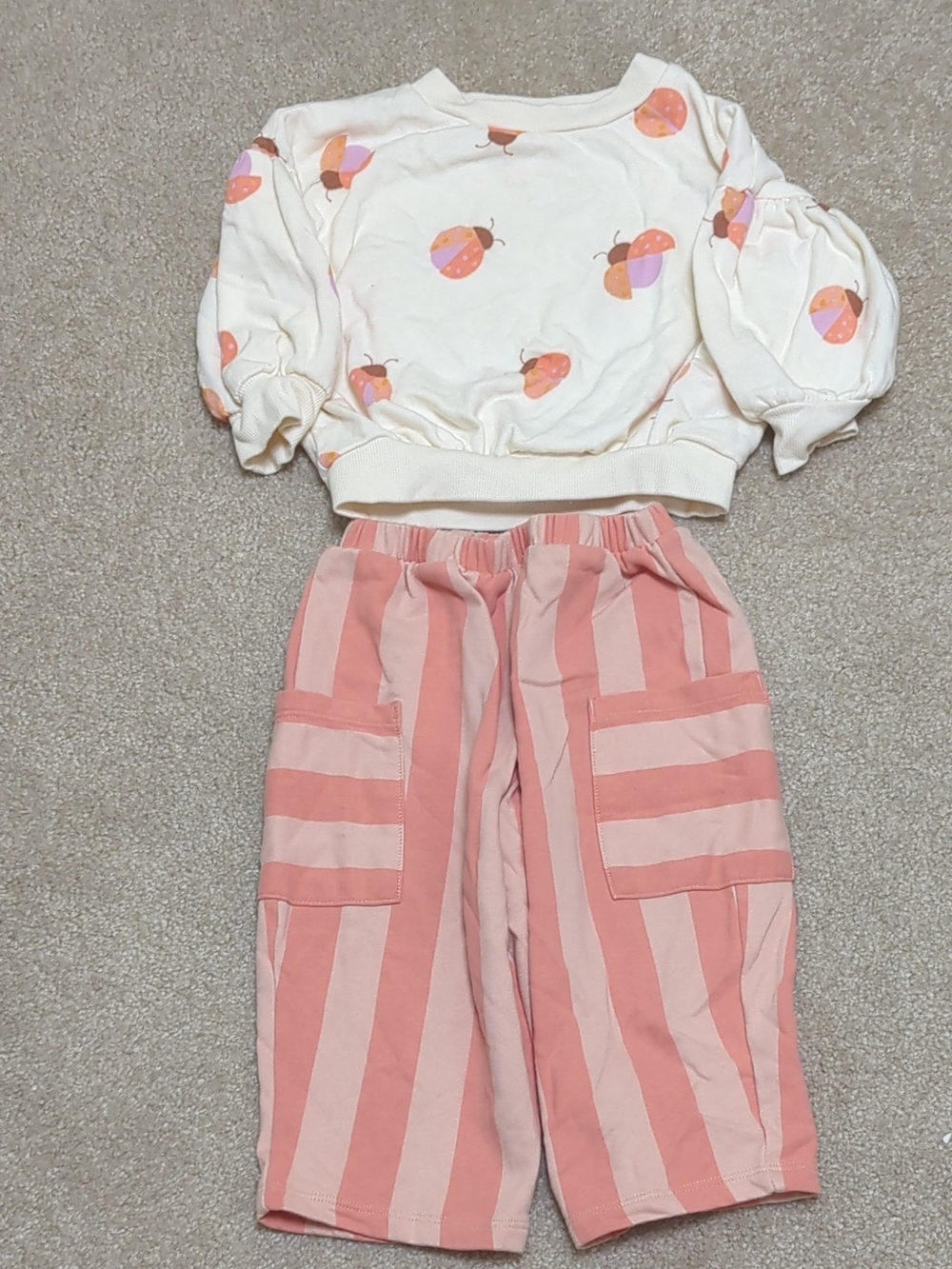 2T Girls Pink And Peach Soft Sweatshirt And Pants With Pockets. Cat And Jack New